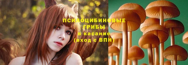альфа пвп Гусь-Хрустальный