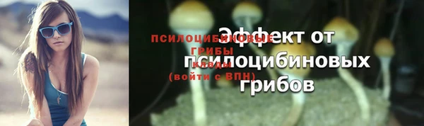 a pvp Гусев