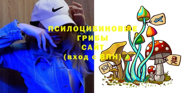 крисы Гусиноозёрск