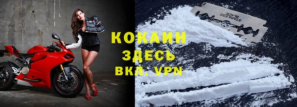 a pvp Гусев