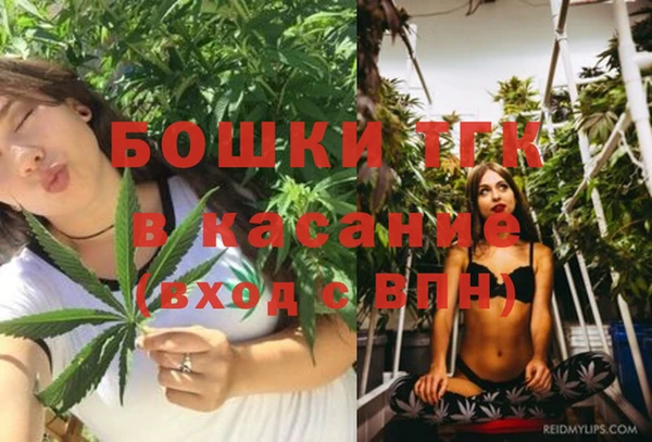 альфа пвп Гусь-Хрустальный