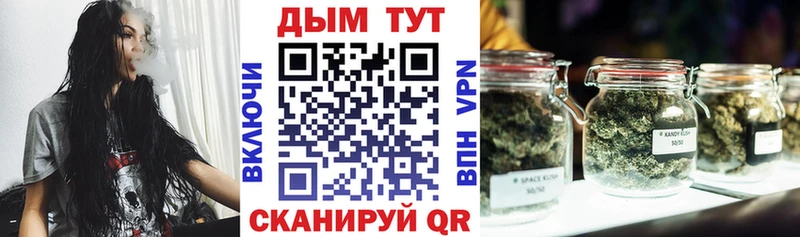 Каннабис план  дарнет шоп  Москва 
